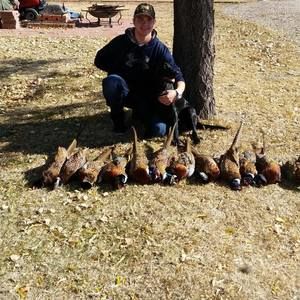 Meet your Posher, Brandon